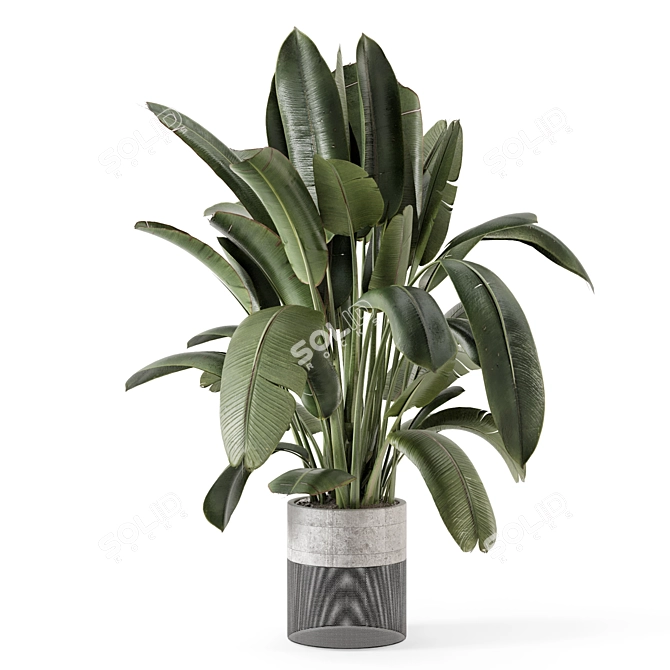 Handmade Stone Pot Indoor Plants 3D model image 6