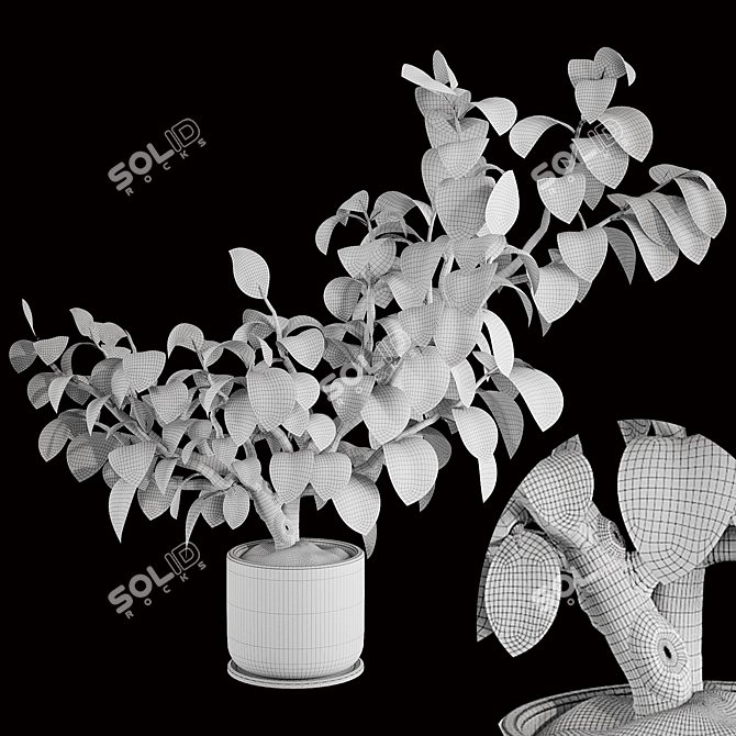 3D Plant & Decor Collection 3D model image 7