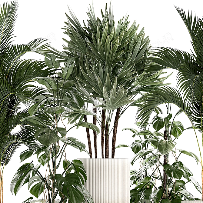 Tropical Plant Collection in Modern White Pots 3D model image 3