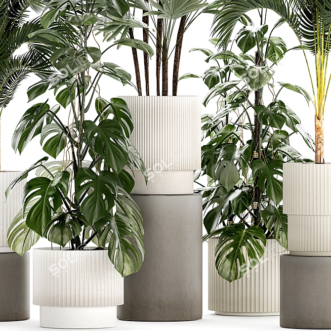 Tropical Plant Collection in Modern White Pots 3D model image 4