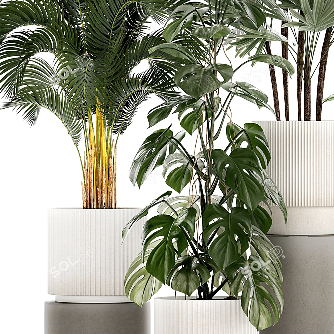 Tropical Plant Collection in Modern White Pots 3D model image 5