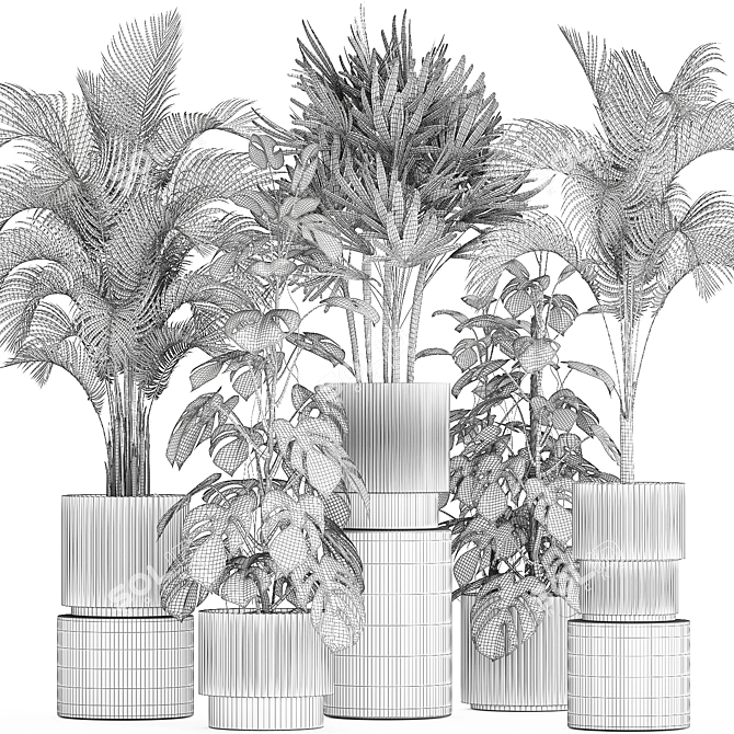 Tropical Plant Collection in Modern White Pots 3D model image 6