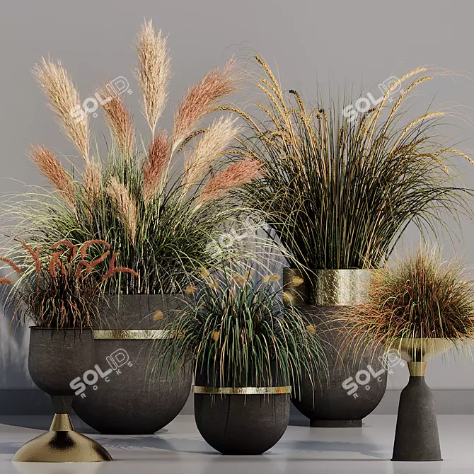 Pampas Grass Indoor Ornamental Plant 3D model image 1