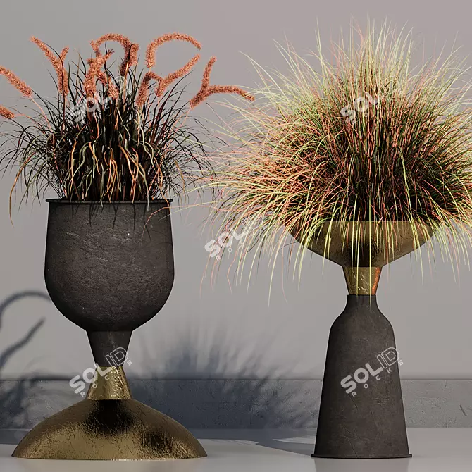 Pampas Grass Indoor Ornamental Plant 3D model image 3