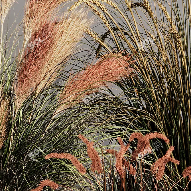 Pampas Grass Indoor Ornamental Plant 3D model image 6