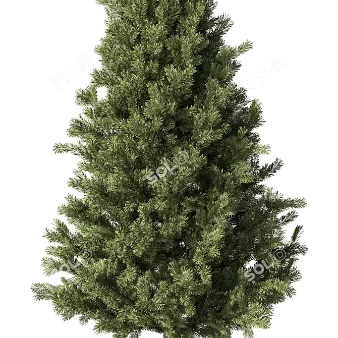 Evergreen No.62 3D Model 3D model image 2