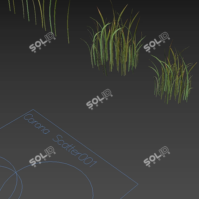 Variety Grass Model Scatter 3D model image 5