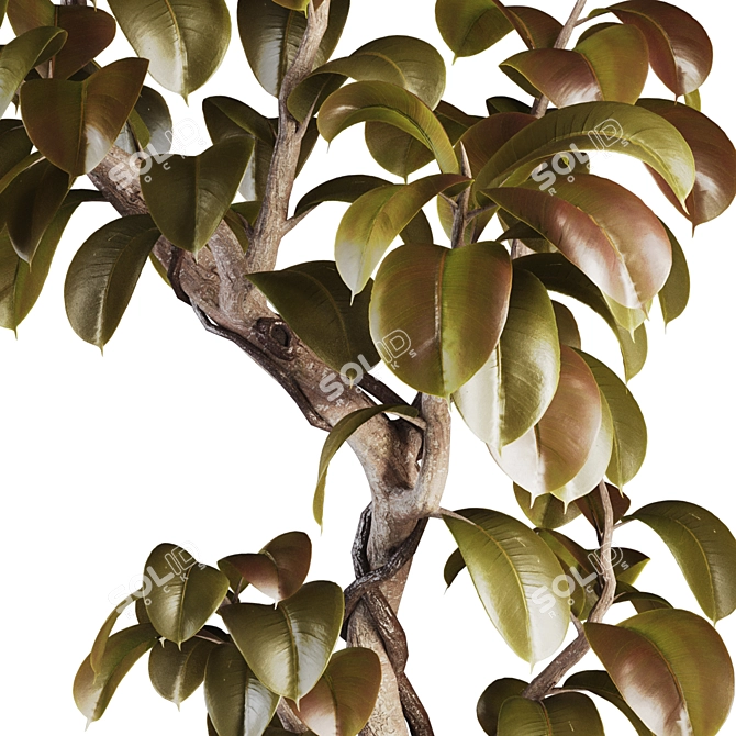 3D Model Set Plant Chandelier 3D model image 4