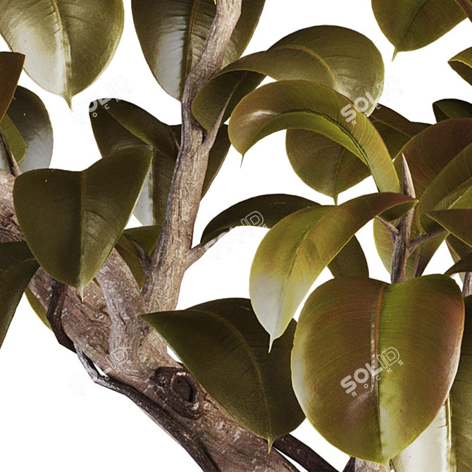 3D Model Set Plant Chandelier 3D model image 5