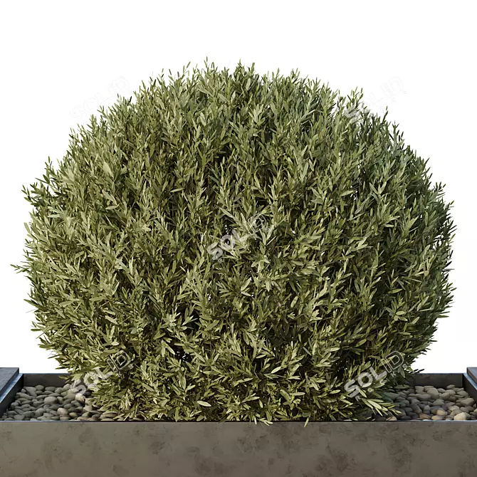 Urban Green Plant Bench Collection 3D model image 4