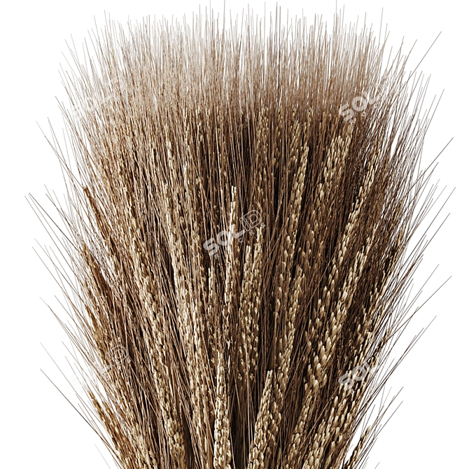 Dried Wheat Glass Vase Decor 3D model image 3