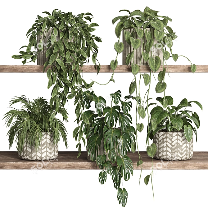 Potted Plants Display Stand 3D model image 1