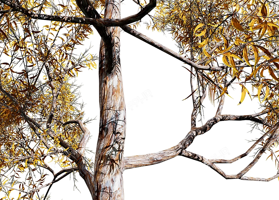 Seasonal Gum Trees Pack 3D model image 3