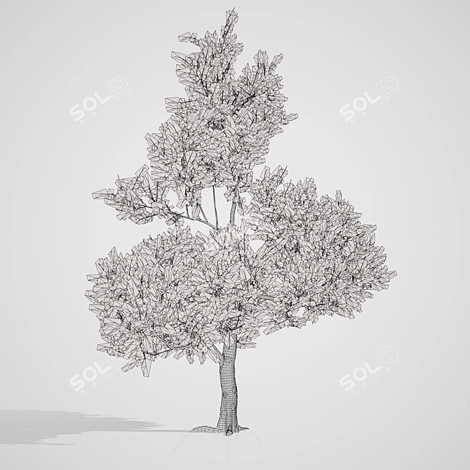 Seasonal Gum Trees Pack 3D model image 5