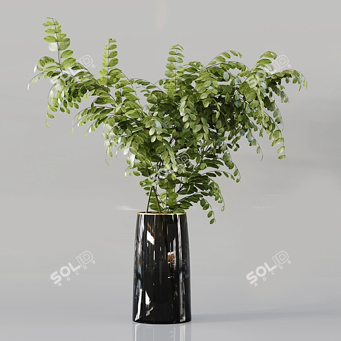 Diverse Indoor Plant Collection 3D model image 2