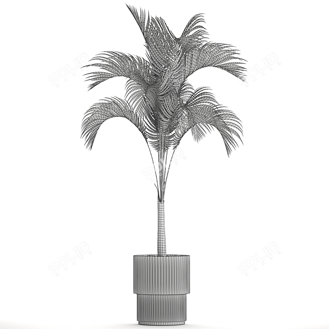 Exotic Phoenix Palm Collection 3D model image 7