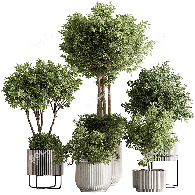 Indoor Tree in Pot 629 3D model image 1