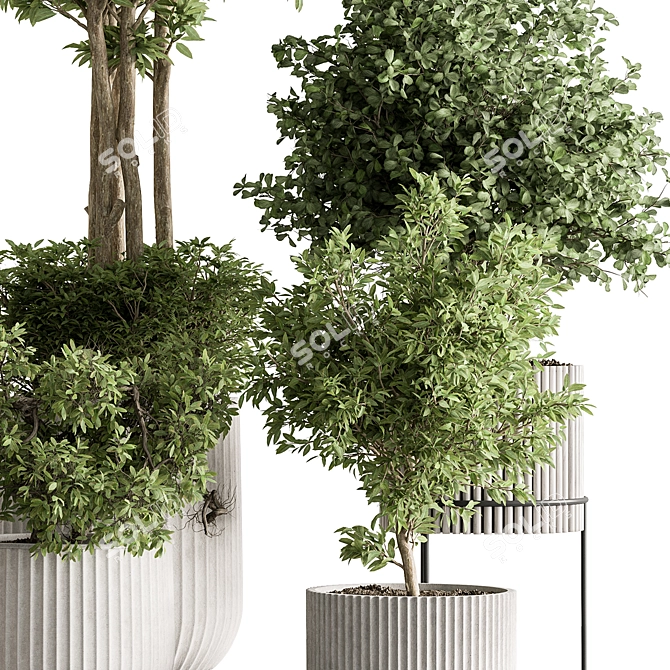 Indoor Tree in Pot 629 3D model image 4