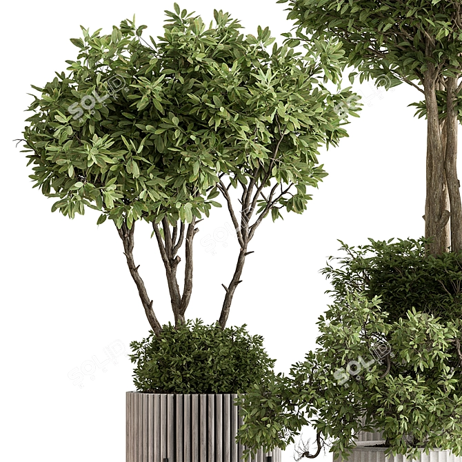 Indoor Tree in Pot 629 3D model image 5