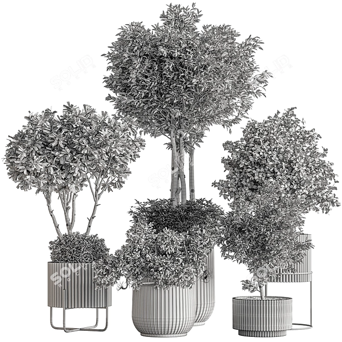 Indoor Tree in Pot 629 3D model image 6