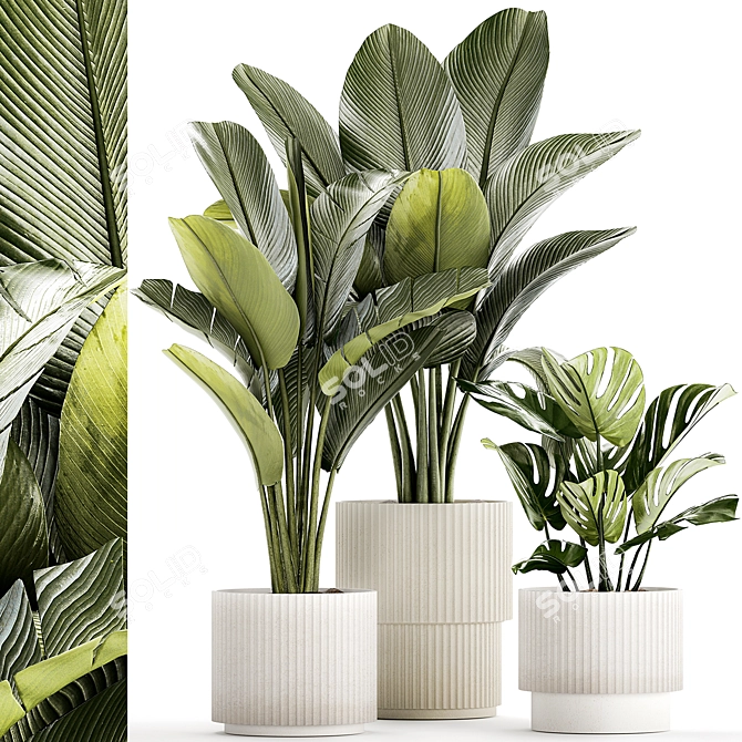 Exotic Plant Collection - Modern White Pot Display 3D model image 1