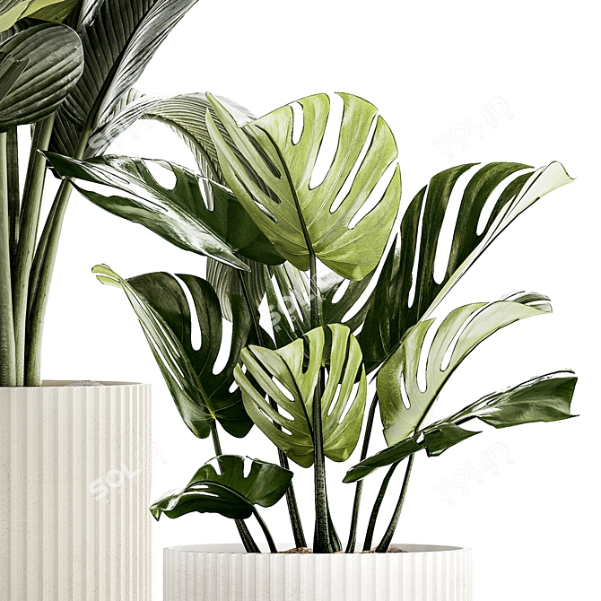 Exotic Plant Collection - Modern White Pot Display 3D model image 3