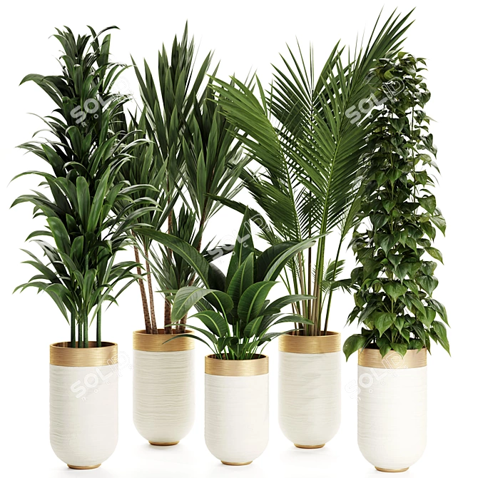 Premium Indoor Plants Set 68 3D model image 1