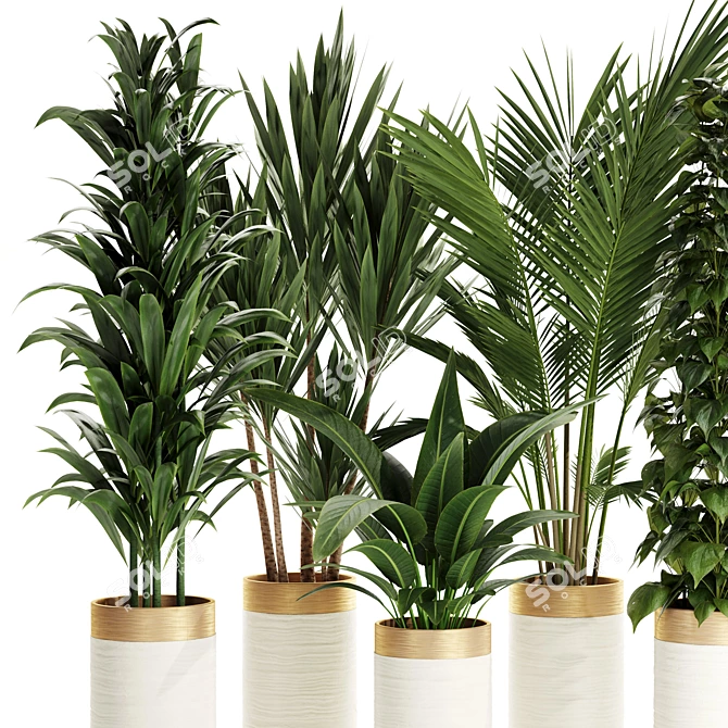 Premium Indoor Plants Set 68 3D model image 2