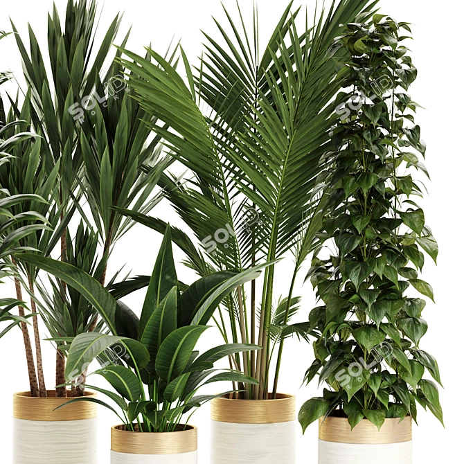 Premium Indoor Plants Set 68 3D model image 3