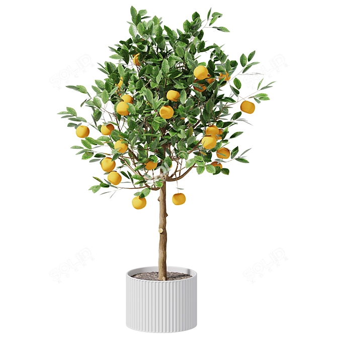  Citrus Trio Tree Set. 3D model image 4