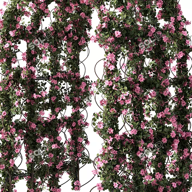  Serene Pergola Plant Ensemble 3D model image 2