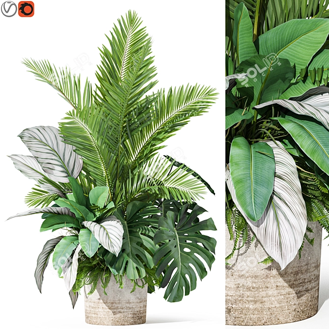 Botanical Assortment 1017 3D model image 1