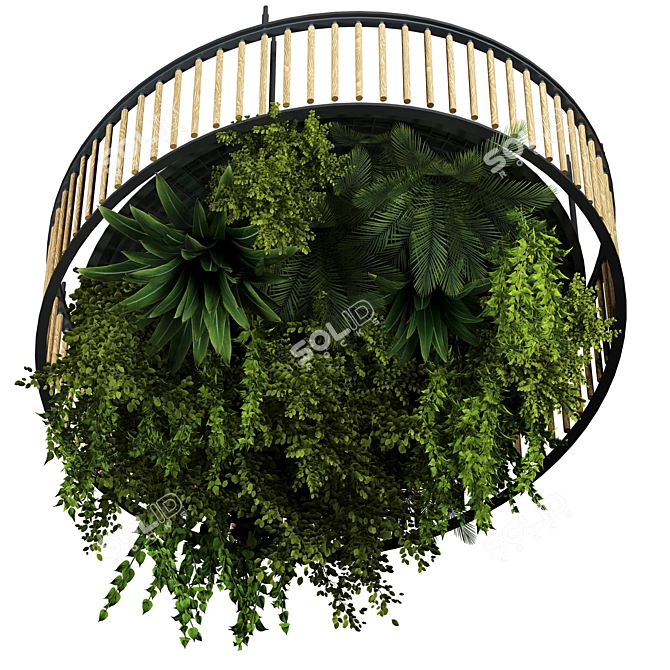 Premium Hanging Indoor Plant Set 3D model image 1