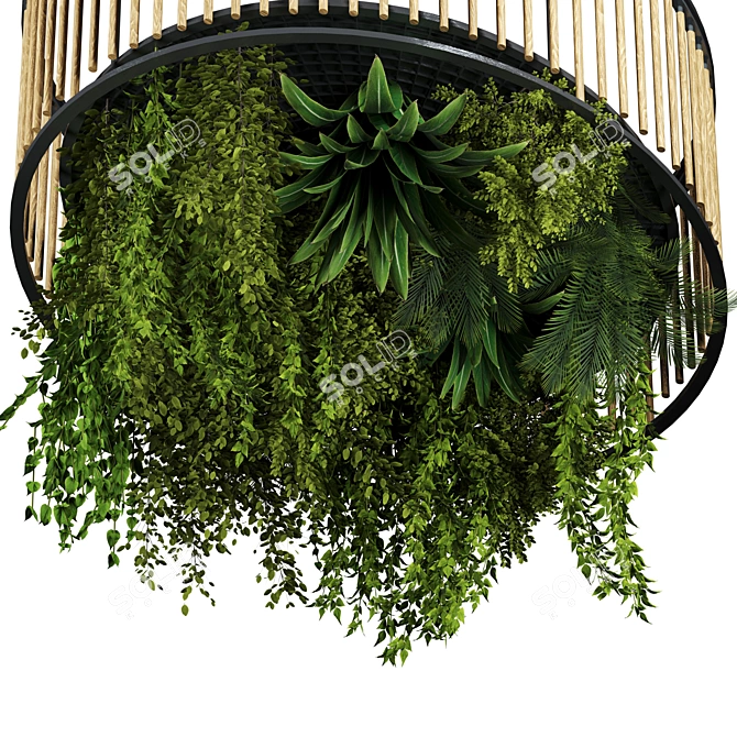 Premium Hanging Indoor Plant Set 3D model image 2