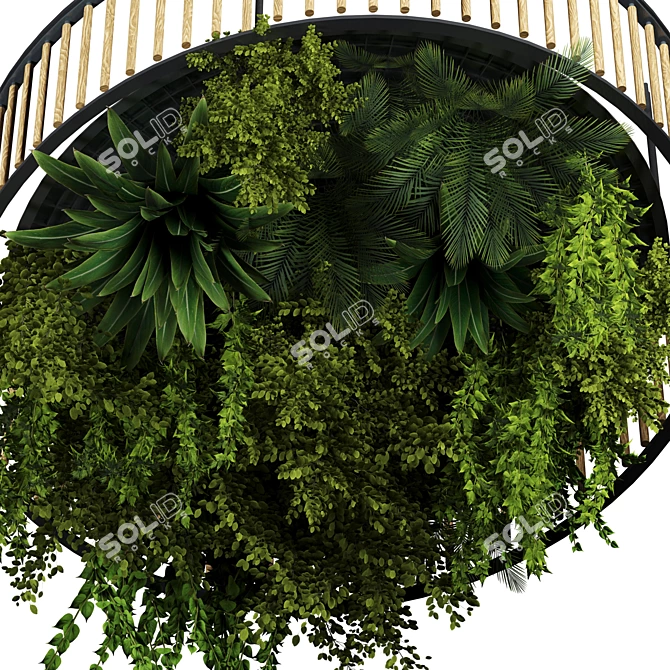 Premium Hanging Indoor Plant Set 3D model image 3