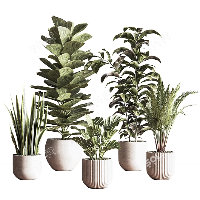 Sleek Indoor Plant Set 3D model image 1