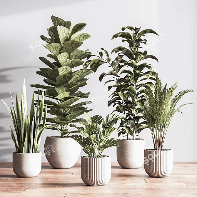 Sleek Indoor Plant Set 3D model image 2