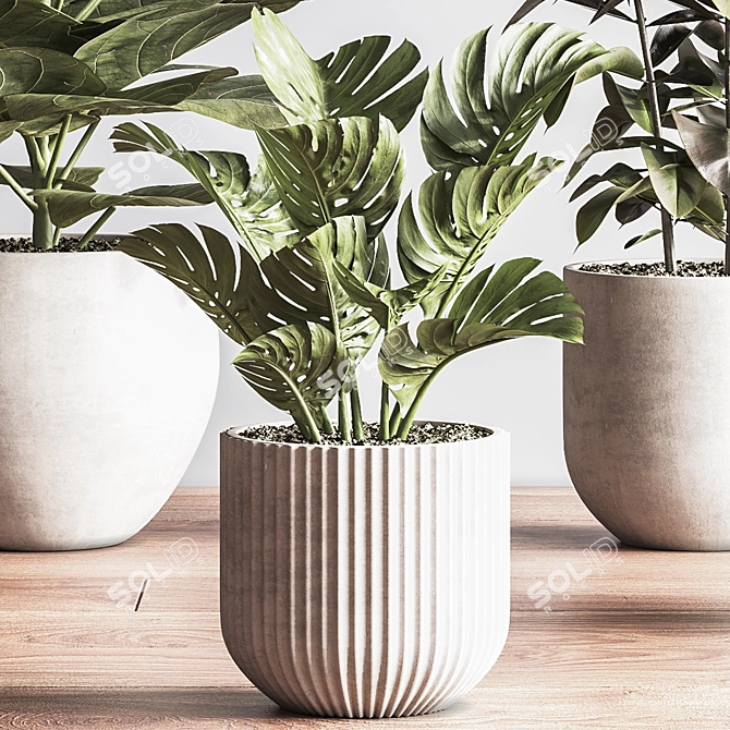 Sleek Indoor Plant Set 3D model image 3