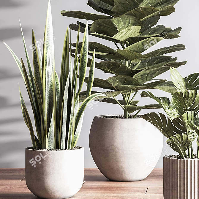 Sleek Indoor Plant Set 3D model image 4