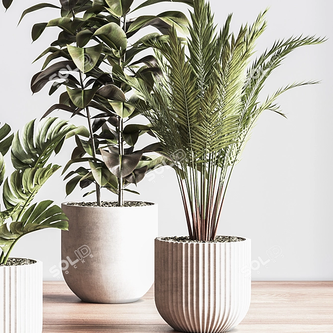 Sleek Indoor Plant Set 3D model image 5