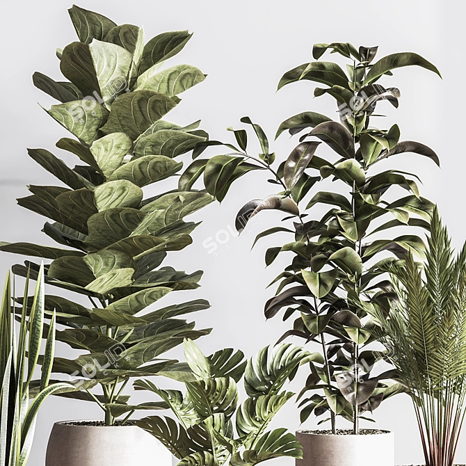 Sleek Indoor Plant Set 3D model image 6