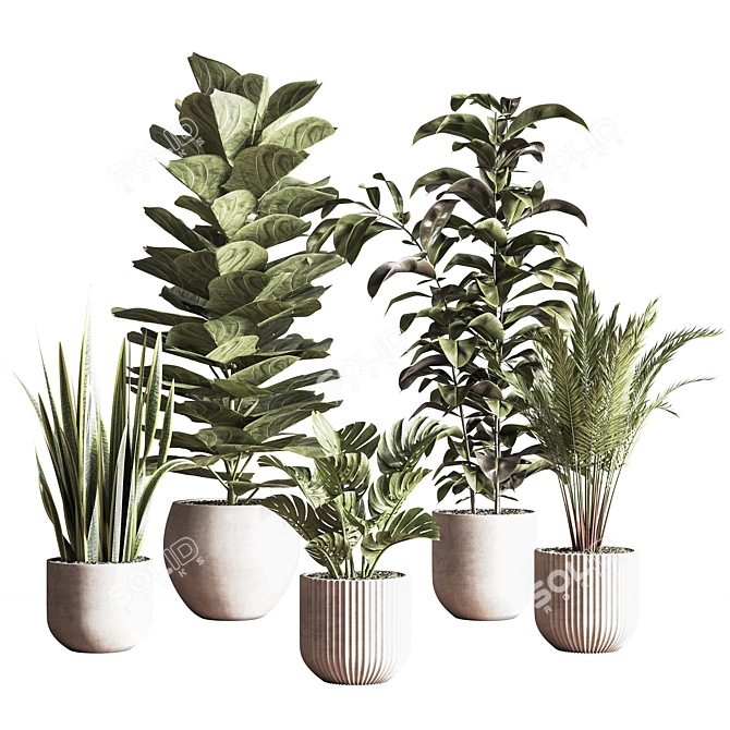 Sleek Indoor Plant Set 3D model image 8