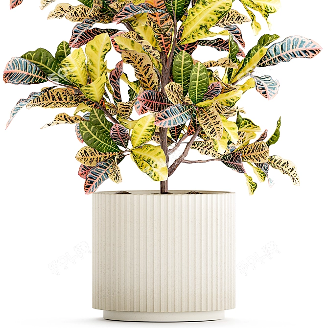 Tropical Croton in Modern Pot 3D model image 4