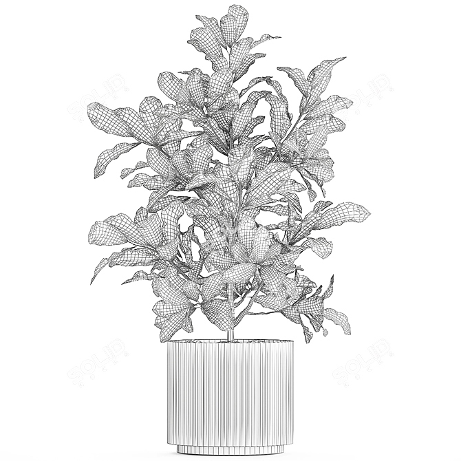 Tropical Croton in Modern Pot 3D model image 7