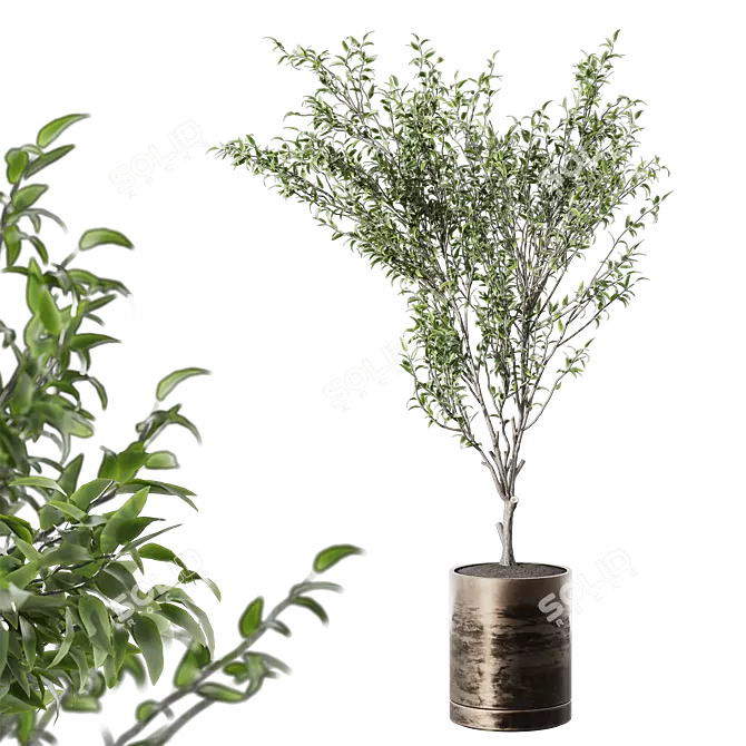 Modern Metal Potted Live Plant 3D model image 1