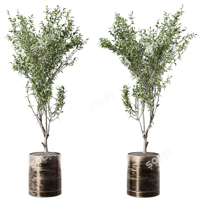 Modern Metal Potted Live Plant 3D model image 2