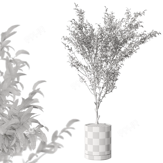 Modern Metal Potted Live Plant 3D model image 3