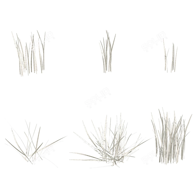 6 Varieties Grass Model 3D model image 5