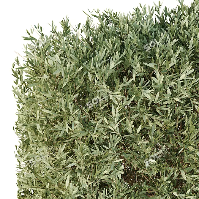 Urban Green Plant Benches Collection 3D model image 4