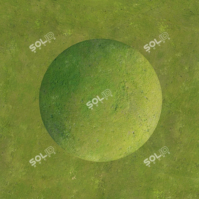 Drone-Captured Field Textures 3D model image 2